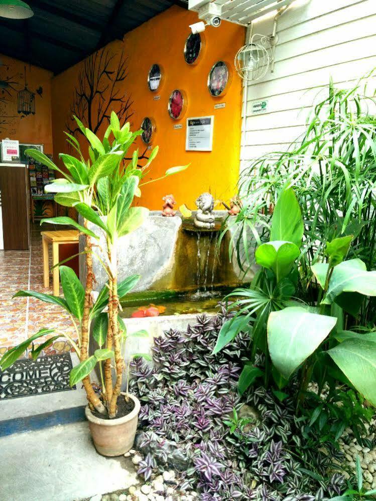 Yin Yang Guesthouse Chiang Mai Eksteriør bilde